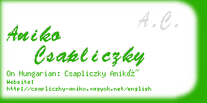 aniko csapliczky business card